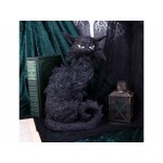 Statue Salem Cat Figurine Nemesis Now